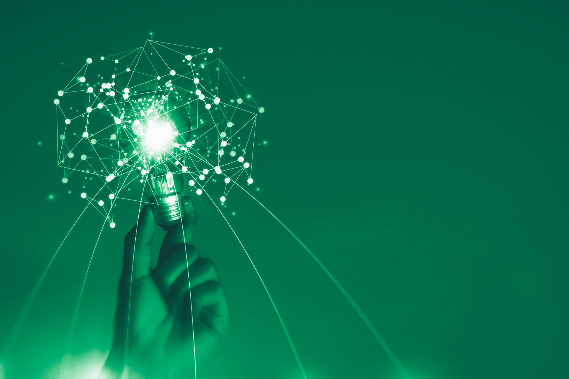 The Innovation Process: Idea Generation