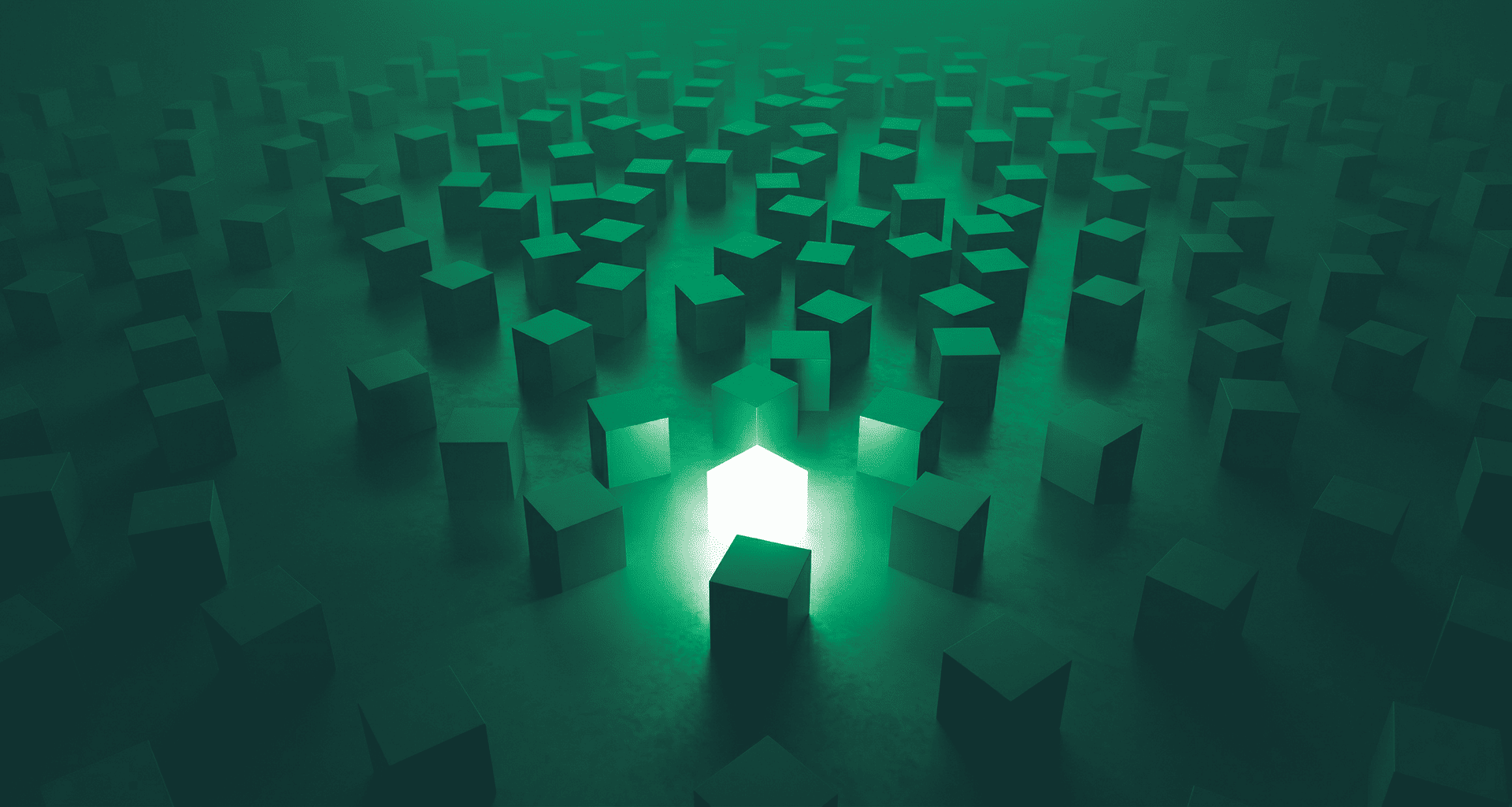 Adaptation and Organizational Resilience: Are Organizations Ready for Change?