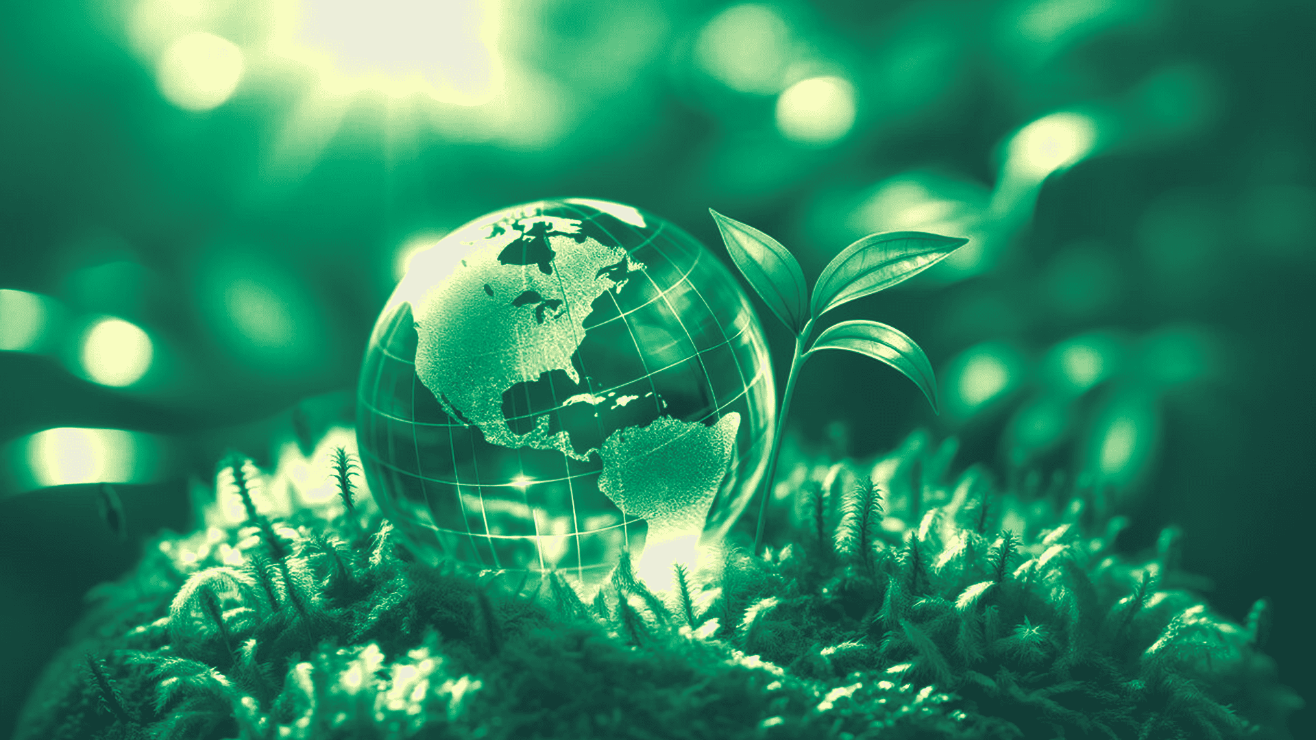 Developing an Environmental Management Manual: A Practical Framework