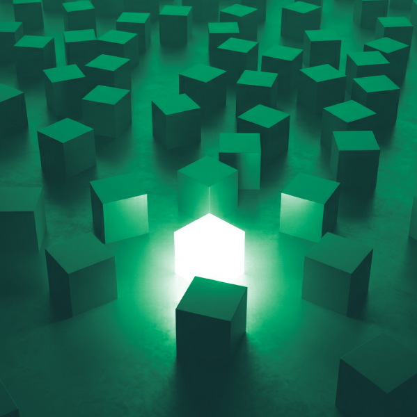 Adaptation and Organizational Resilience: Are Organizations Ready for Change?