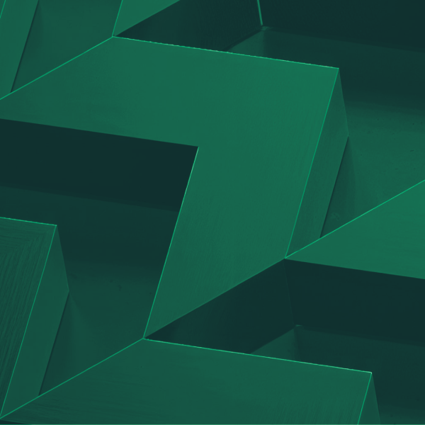 Governance Frameworks and Professional Conduct: The Path Toward Institutional Identity
