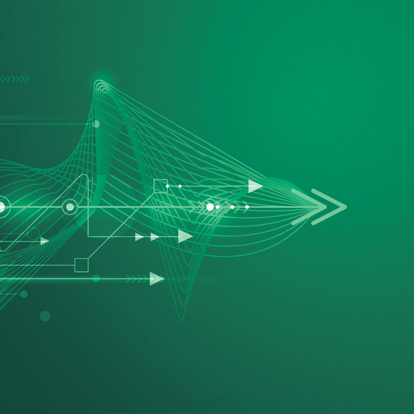 Innovation Within Organizations: Why Do Ideas Need Specialized Teams?