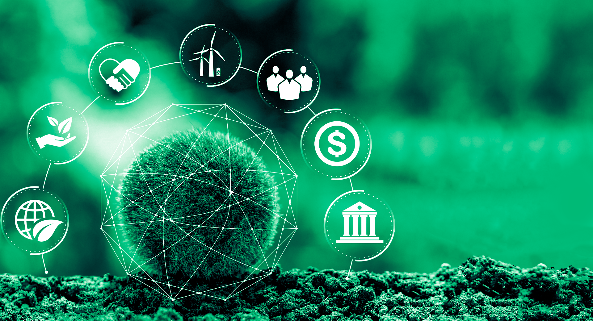 Navigating Sustainability: A Strategic Guide to Environmental Management